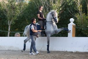 High level dressage, horseback riding. spain, Marbella, Fuengirola