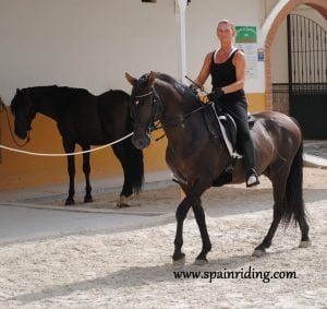 Private riding classes Dressage, Marbella, Spain