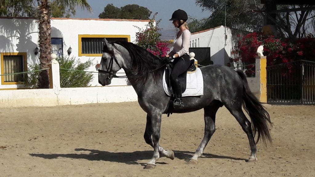 riding-with-harmony-in-spain