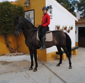 horseback-riding-holiday-spain-marbella-fuengirola