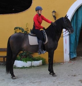 horseback-riding-holiday-costa-del-sol-marbella-fuengirolamalaga